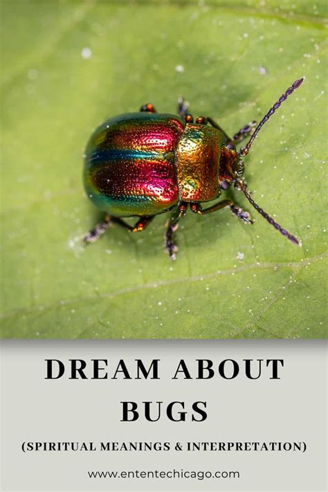 Bug Dreams and Personal Transformation