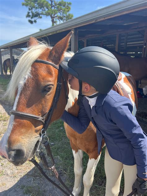 Building Trust and Establishing a Deep Connection with Your Equine Companion