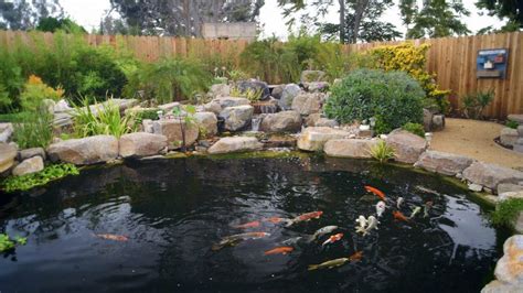 Building Your Koi Pond: Helpful Hints and Techniques