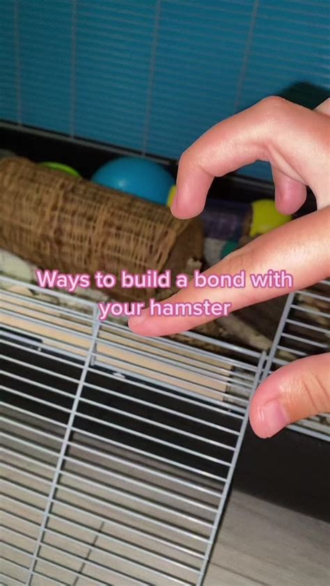 Building a Bonding Connection with Your New Arrival