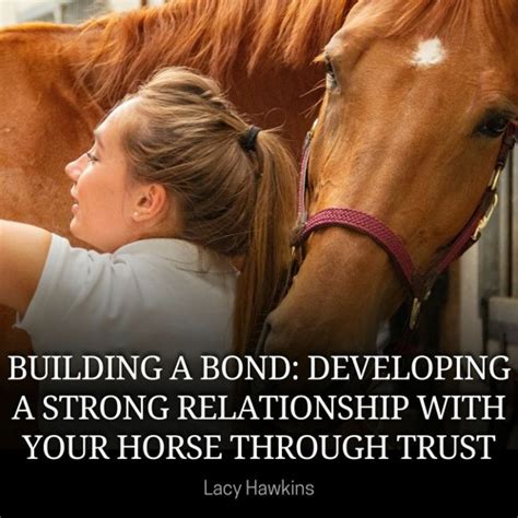 Building a Strong Bond: Developing a Relationship with Your Equine Companion