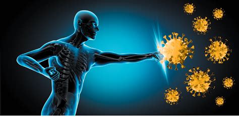 Building a Strong Immune System: Enhancing Your Body's Natural Defense Mechanisms against Parasitic Infections