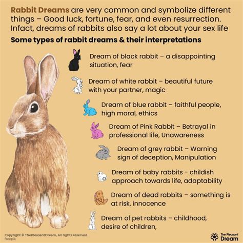 Bunnies as Messengers: What Do Rabbit Dreams Tell Us?