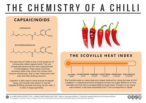 Capsaicin: the chemical compound behind the spice