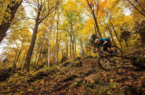 Captivating Nature's Beauty: Discovering Picturesque Trails on Mountain Bikes