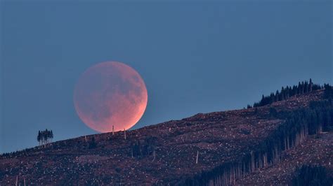 Captivating Your Senses: Exploring the Beauty of Lunar Eclipses