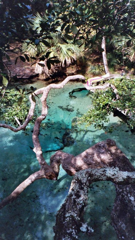 Capturing Memories: Tips for Photographing Pristine Aquatic Gems