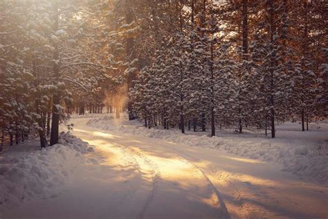 Capturing Winter Beauty: Photographing the Pristine Snowscapes