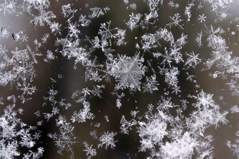 Capturing the Beauty: Photographing Majestic Snow Crystals