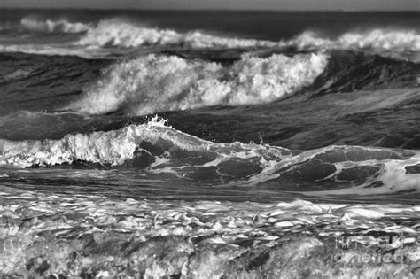 Capturing the Essence: Photographing the Magic of Sea Swells