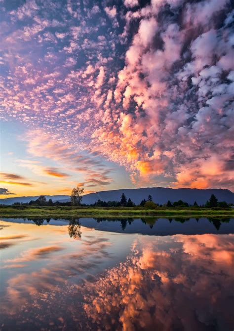 Capturing the Perfect Shot: Photography Tips for Enthusiasts of Bridges