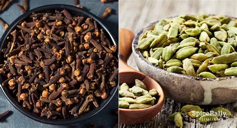 Cardamom vs. Clove: A Battle of Distinctive Aromas