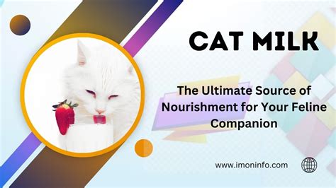 Caring for Your Feline Companion: Nourishment, Physical Activity, and Mental Stimulation