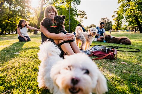 Caring for Your Puppy's Mental Health: Harnessing the Power of Mindful Interactions