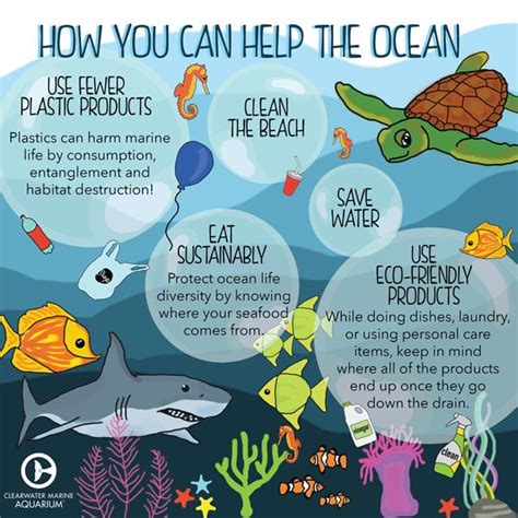 Caring for your Ocean Friends: Advice and Techniques for Success