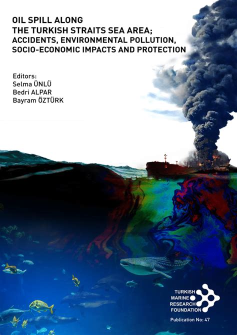 Case Studies: Infamous Incidents of Oil Spill Catastrophes and Valuable Insights Gained