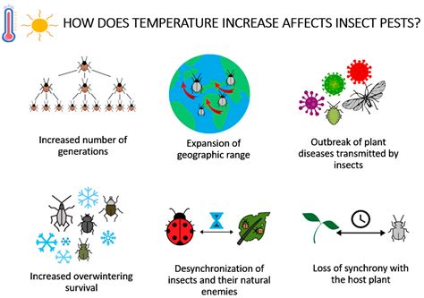 Case Studies: Real-Life Stories of Unexpected Insect Precipitation Worldwide