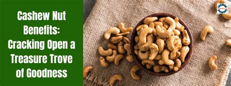 Cashew Nuts: The Hidden Treasure in Dream Interpretation