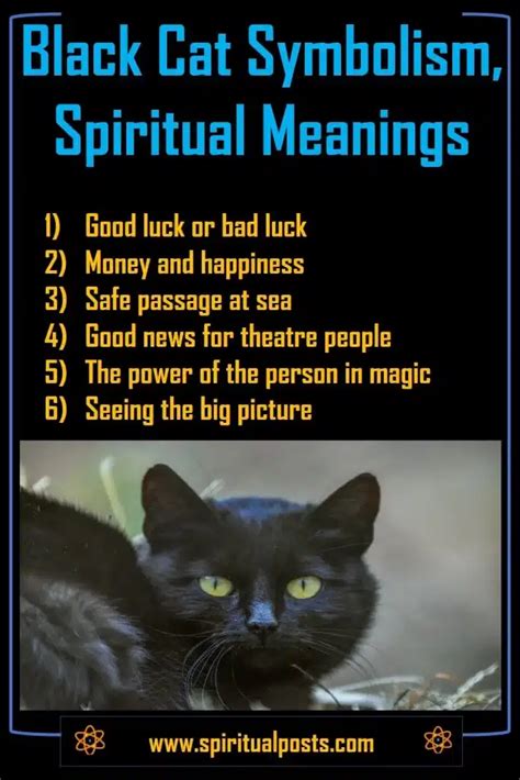 Cat Symbolism across Different Cultures and Its Connection to Dream Interpretation