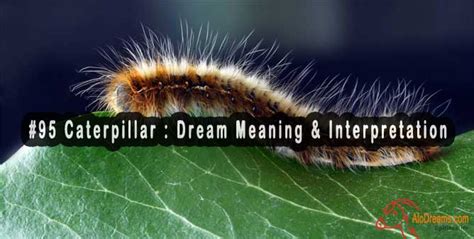 Caterpillars in Dreams: A Variety of Appearances