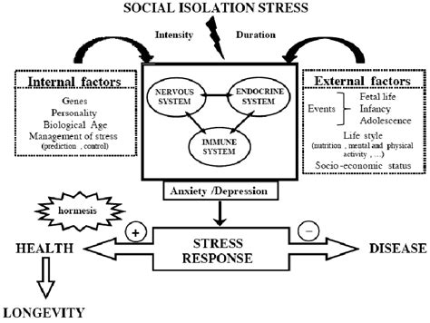 Causes and Significance of Stress-Inducing Dreams: Understanding the Psychological Impact