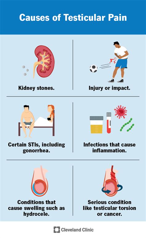 Causes of Testicular Swelling: Understanding the Reasons Behind the Enlargement