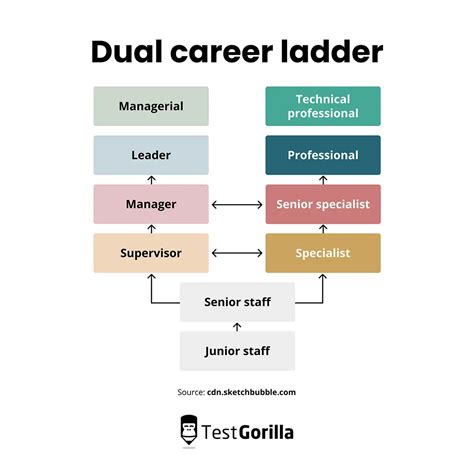 Challenges and Solutions: Navigating the Complexities of Pursuing Dual Career Paths