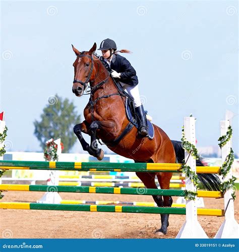 Challenges of Working with Equine Performers: Overcoming Obstacles