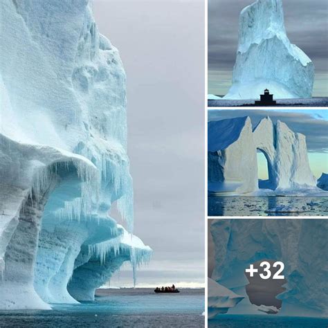 Chasing Icebergs: Witnessing the Majesty of Glacial Giants