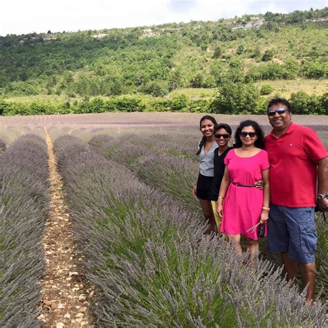 Chasing Lavender Fog: The Ultimate Pursuit for Sky Enthusiasts