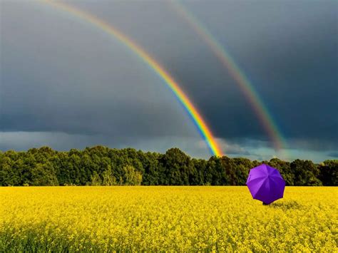 Chasing Rainbows: The Adventurous Pursuit of Spectacular Rainbow Sightings