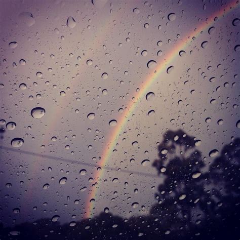 Chasing Rainbows: The Delightful Surprise that Rainy Days Can Bring