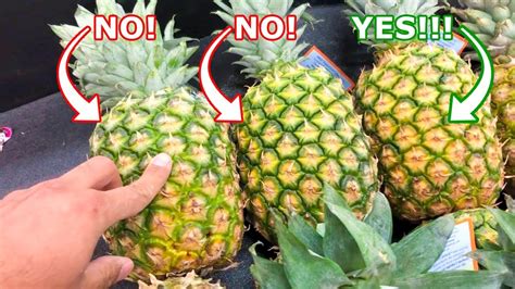 Choosing Top-Quality Pineapples: Advice for Sourcing Premium Products