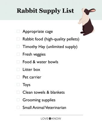 Choosing the Ideal Bunny Supplies and Equipment