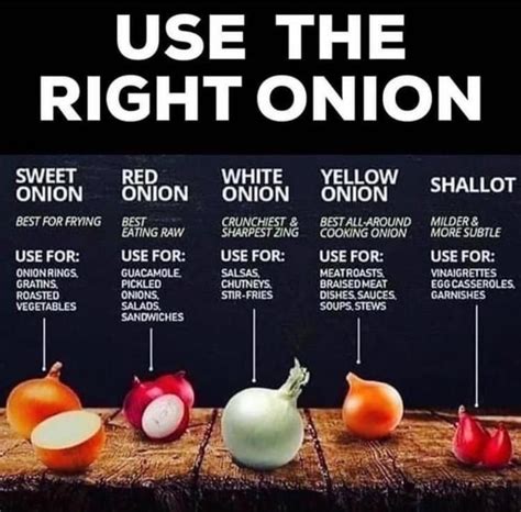 Choosing the Ideal Onion for Enhancing Your Culinary Masterpieces