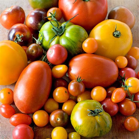 Choosing the Ideal Tomato Varieties for Your Homegrown Harvest