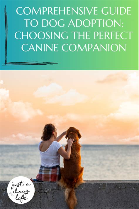 Choosing the Perfect Canine Companion based on Your Lifestyle