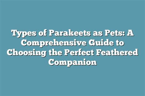 Choosing the Perfect Companion: A Comprehensive Guide to Finding Your Ideal Feathered Ally