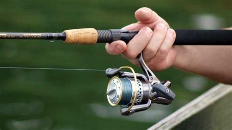 Choosing the Perfect Gear for Trout Fishing: Rods, Reels, and Lines