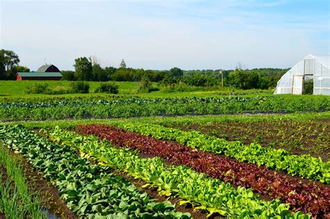 Choosing the Perfect Location for Your Produce Farm: A Comprehensive Approach