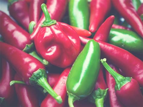 Choosing the Perfect Pepper Variety