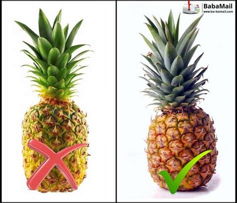 Choosing the Perfect Pineapple: Tips for Selecting the Ripest Fruit