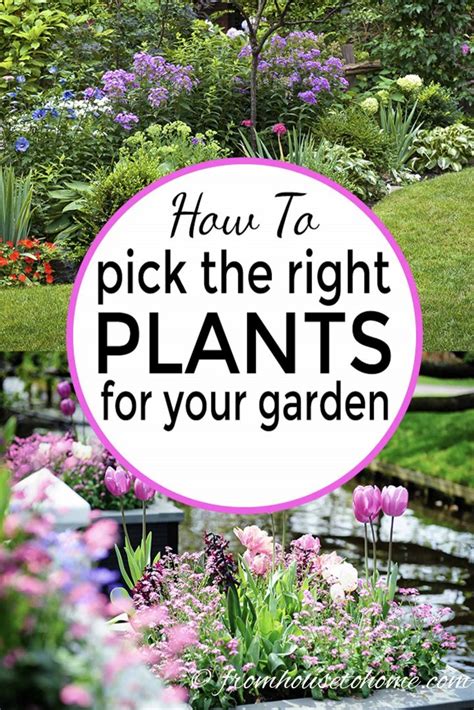 Choosing the Perfect Plants for Your Outdoor Haven