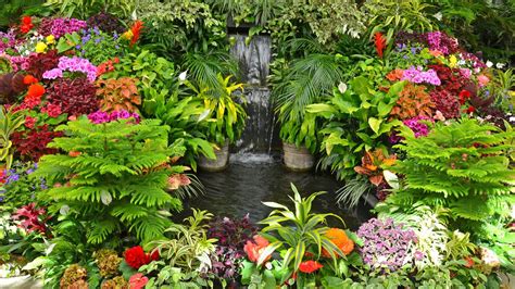 Choosing the Perfect Plants for a Lush and Gorgeous Landscape