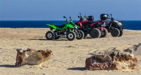 Choosing the Perfect Quad: A Guide to Finding Your Off-Road Companion