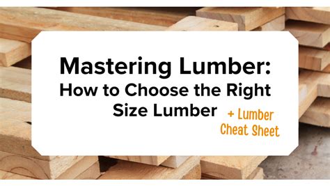 Choosing the Perfect Timber for Your Project