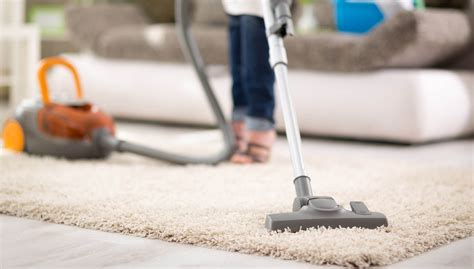 Choosing the Perfect Vacuum Cleaner for Your Carpets