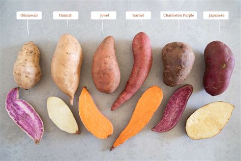 Choosing the Perfect Yam Varieties