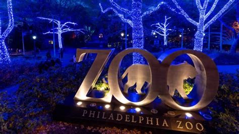 Choosing the Perfect Zoo: Factors to Consider for an Unforgettable Wildlife Adventure