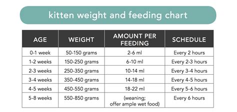 Choosing the Right Nutrition for Growing Kittens